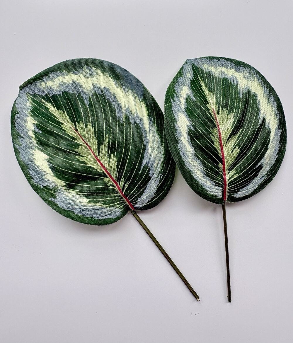 Medallion Plant Floral Picks Florist Supply Set of 25 Leaves Calathea Roseopicta